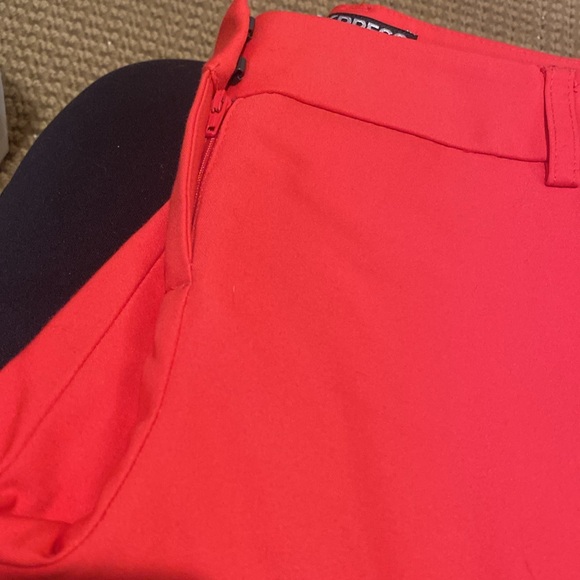 Express Columnist Red Trouser - Picture 4 of 6